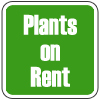 plants on rent